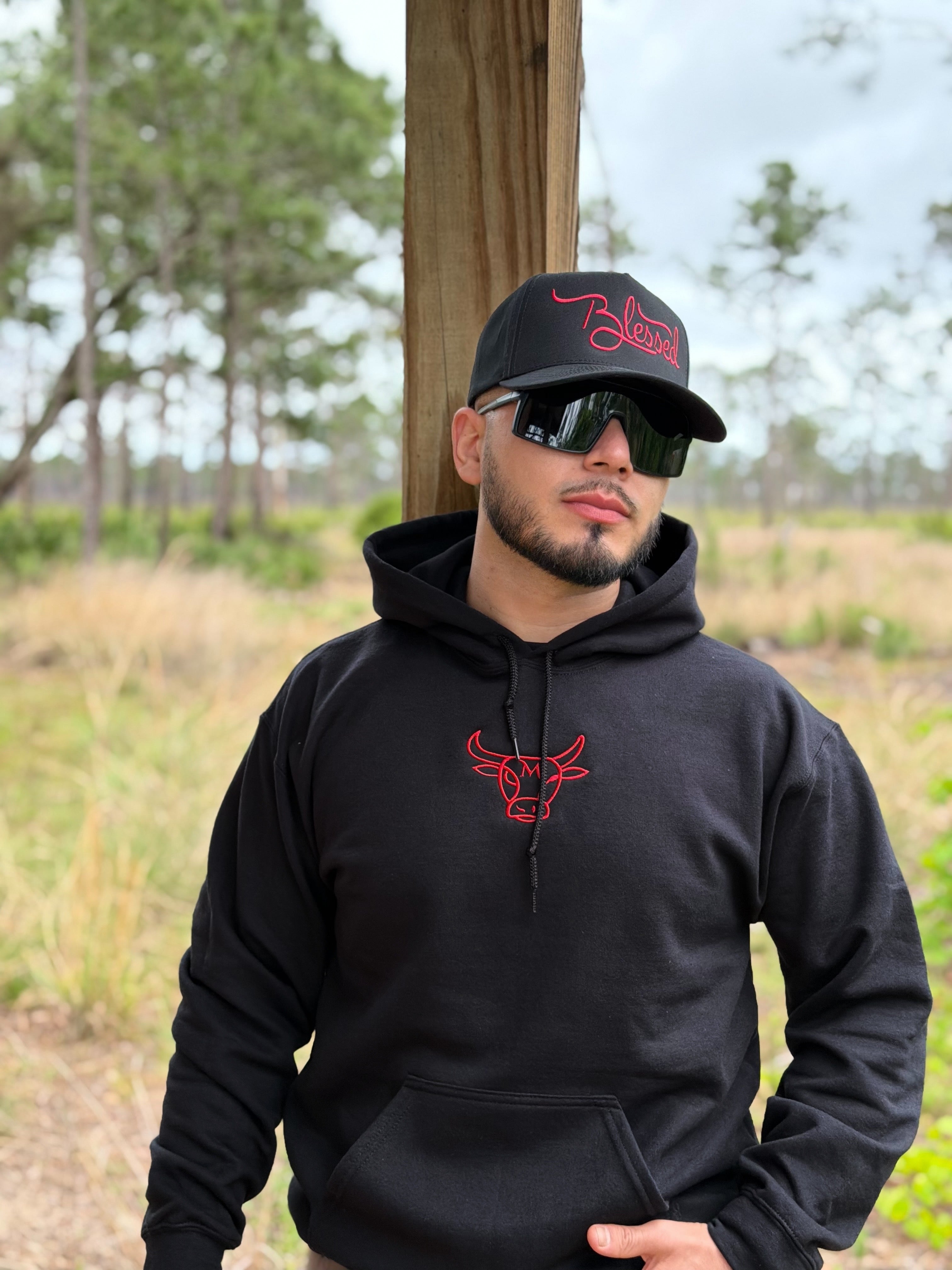 Hoodie TT